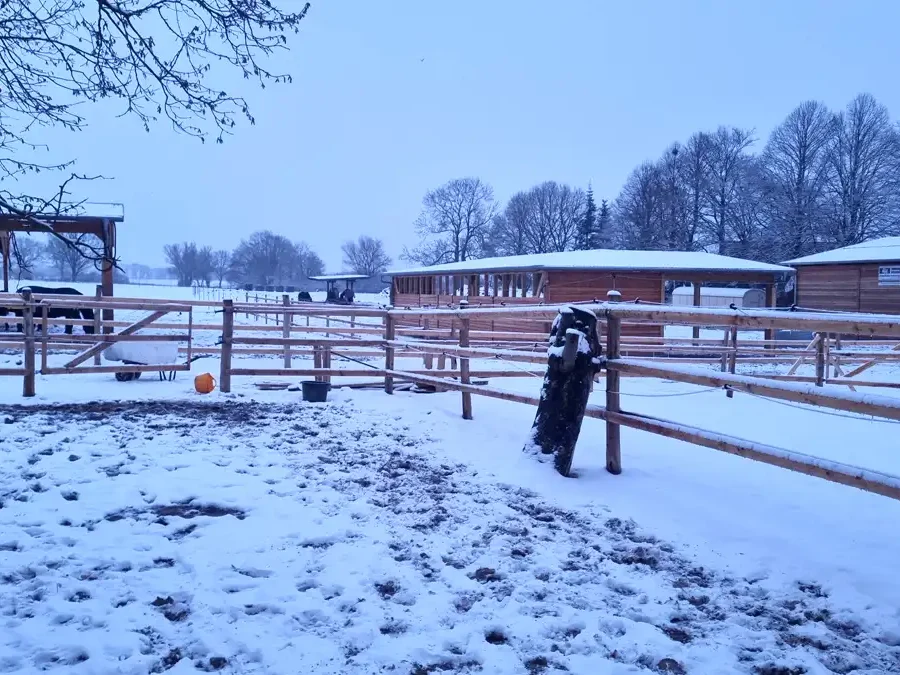 Paddock-Trail im Winter