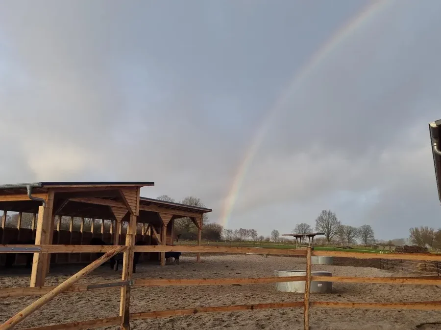 Regenbogen über dem Trail